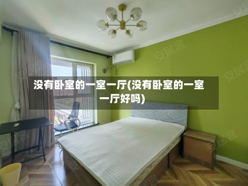 没有卧室的一室一厅(没有卧室的一室一厅好吗)-第3张图片