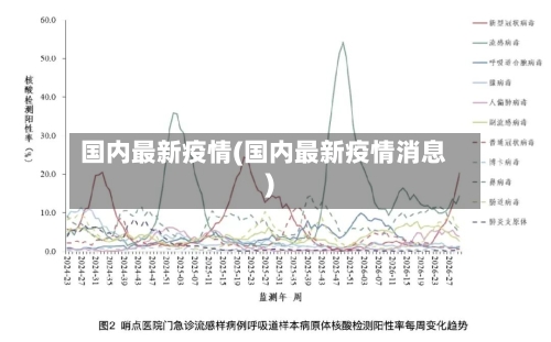 国内最新疫情(国内最新疫情消息)