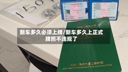 新车多久必须上牌/新车多久上正式牌照不违规了-第2张图片