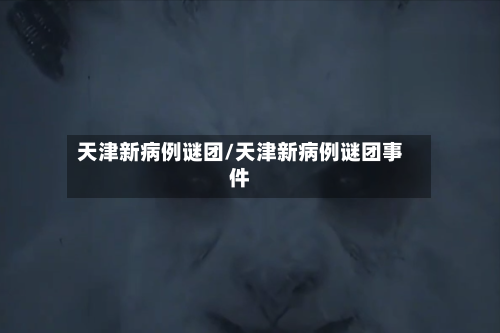 天津新病例谜团/天津新病例谜团事件