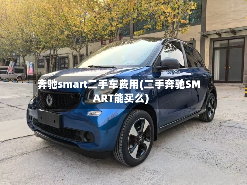 奔驰smart二手车费用(二手奔驰SMART能买么)