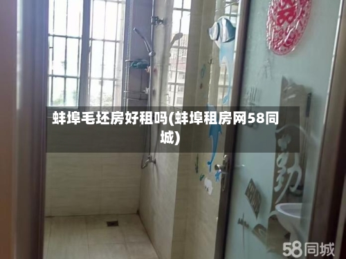 蚌埠毛坯房好租吗(蚌埠租房网58同城)