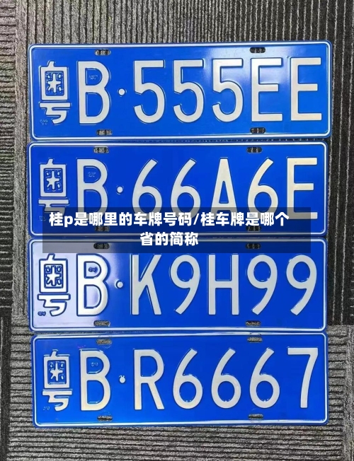 桂p是哪里的车牌号码/桂车牌是哪个省的简称