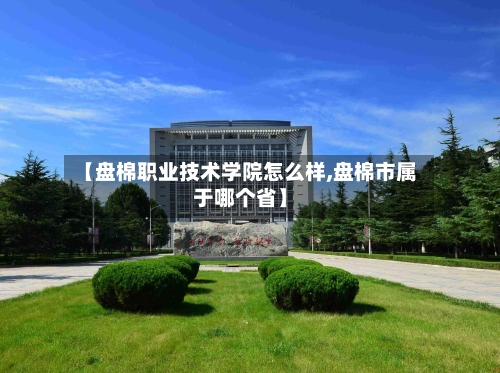 【盘棉职业技术学院怎么样,盘棉市属于哪个省】-第2张图片