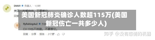 美国新冠肺炎确诊人数超115万(美国新冠伤亡一共多少人)