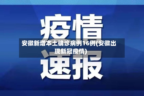 安徽新增本土确诊病例16例(安徽出现新冠疫情)-第2张图片