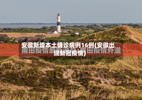 安徽新增本土确诊病例16例(安徽出现新冠疫情)