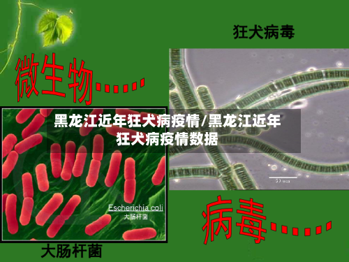 黑龙江近年狂犬病疫情/黑龙江近年狂犬病疫情数据
