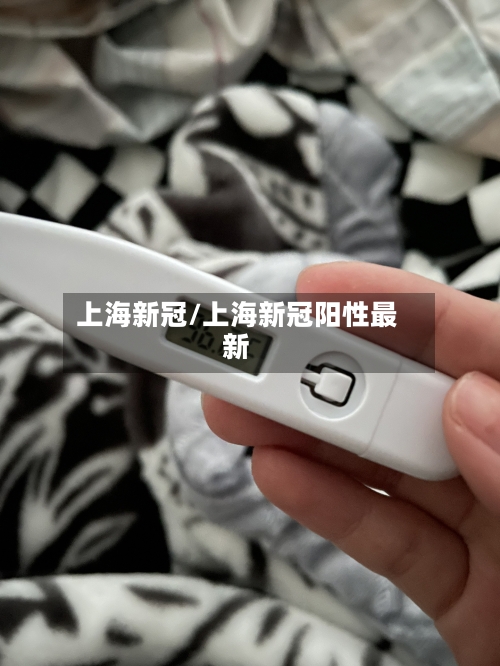 上海新冠/上海新冠阳性最新-第1张图片