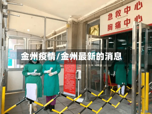 金州疫情/金州最新的消息