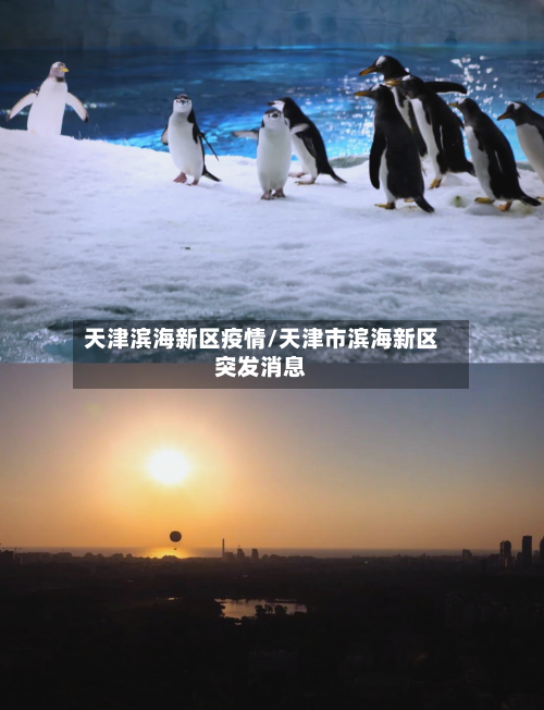 天津滨海新区疫情/天津市滨海新区突发消息
