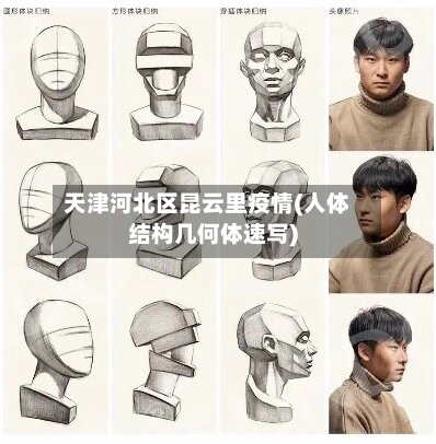 天津河北区昆云里疫情(人体结构几何体速写)