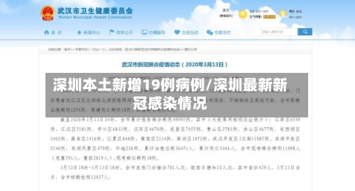 深圳本土新增19例病例/深圳最新新冠感染情况-第2张图片