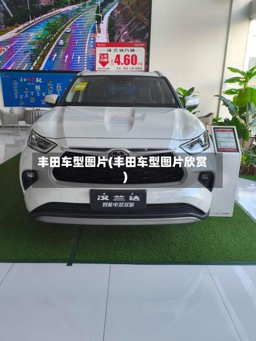 丰田车型图片(丰田车型图片欣赏)-第2张图片