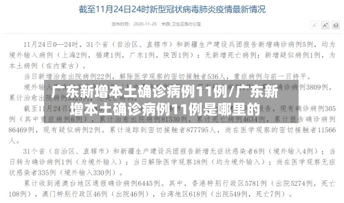 广东新增本土确诊病例11例/广东新增本土确诊病例11例是哪里的-第2张图片