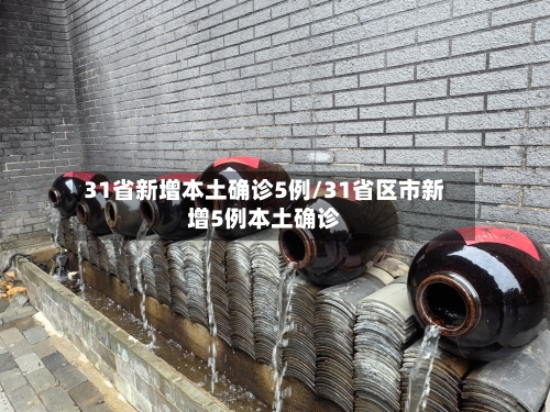 31省新增本土确诊5例/31省区市新增5例本土确诊