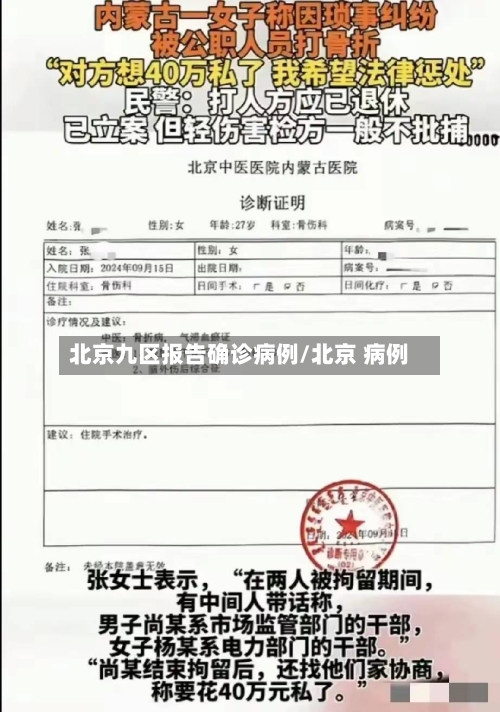 北京九区报告确诊病例/北京 病例