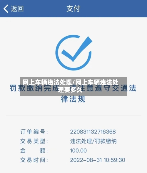 网上车辆违法处理/网上车辆违法处理要多久-第1张图片