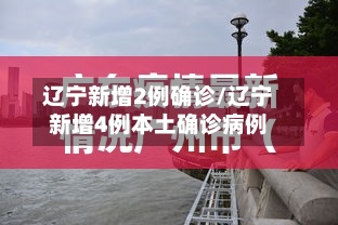 辽宁新增2例确诊/辽宁新增4例本土确诊病例-第3张图片