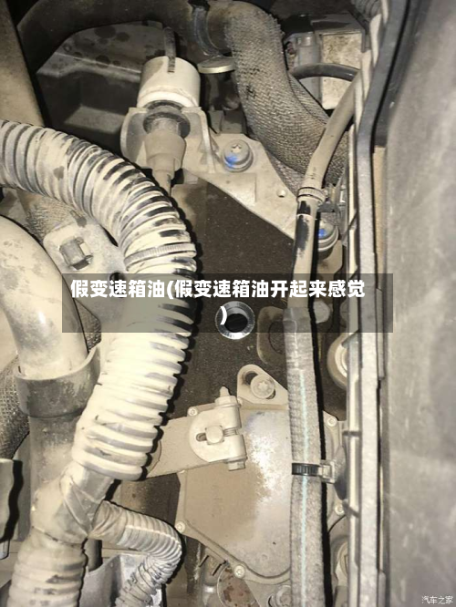 假变速箱油(假变速箱油开起来感觉)-第2张图片