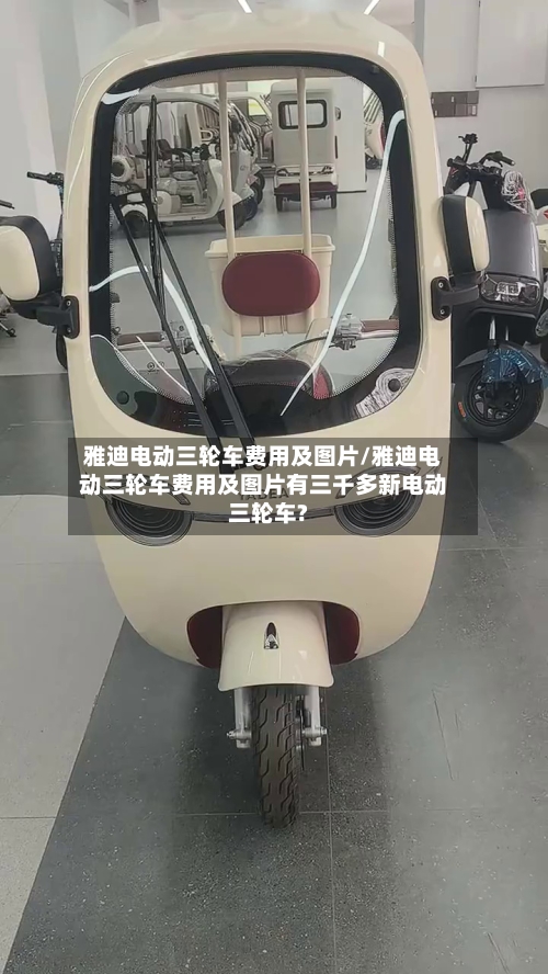 雅迪电动三轮车费用及图片/雅迪电动三轮车费用及图片有三千多新电动三轮车?
