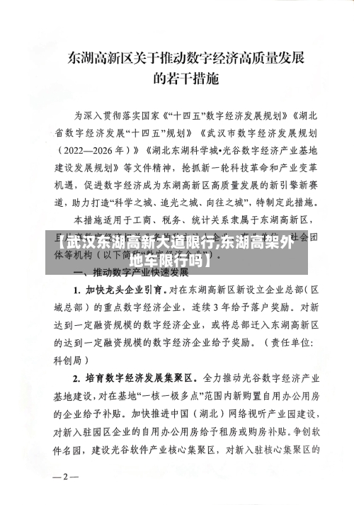 【武汉东湖高新大道限行,东湖高架外地车限行吗】-第2张图片
