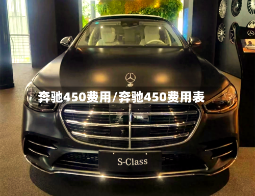 奔驰450费用/奔驰450费用表-第3张图片