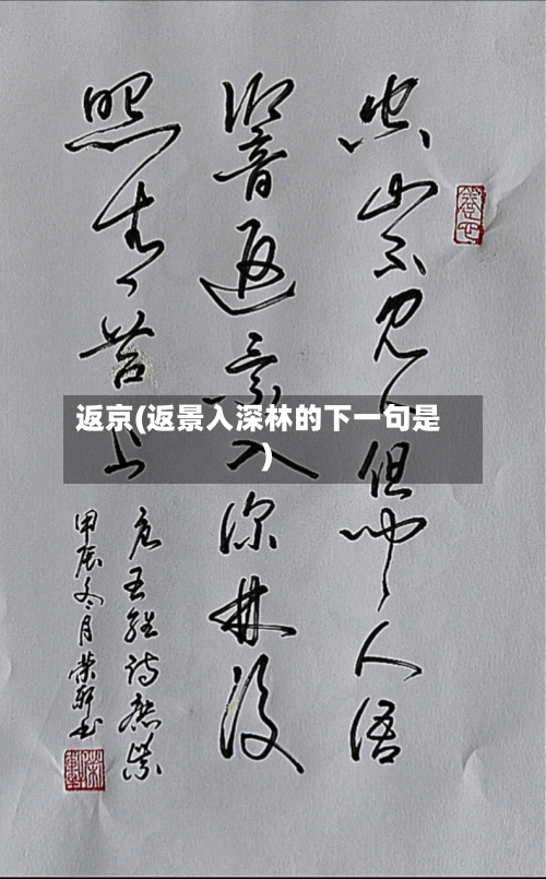 返京(返景入深林的下一句是)-第2张图片