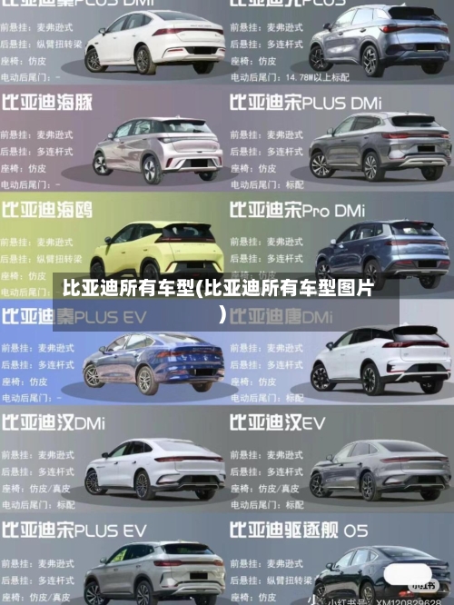 比亚迪所有车型(比亚迪所有车型图片)-第3张图片