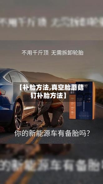 【补胎方法,真空胎蘑菇钉补胎方法】-第2张图片