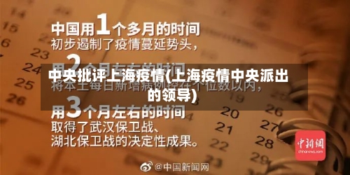 中央批评上海疫情(上海疫情中央派出的领导)