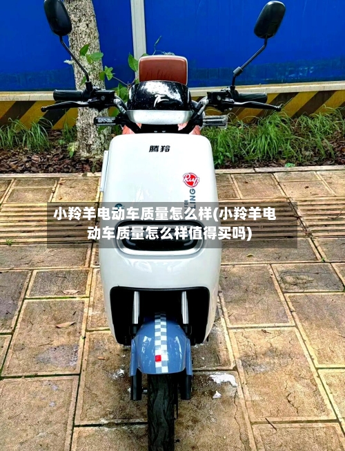 小羚羊电动车质量怎么样(小羚羊电动车质量怎么样值得买吗)-第2张图片