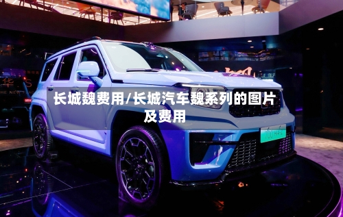 长城魏费用/长城汽车魏系列的图片及费用
