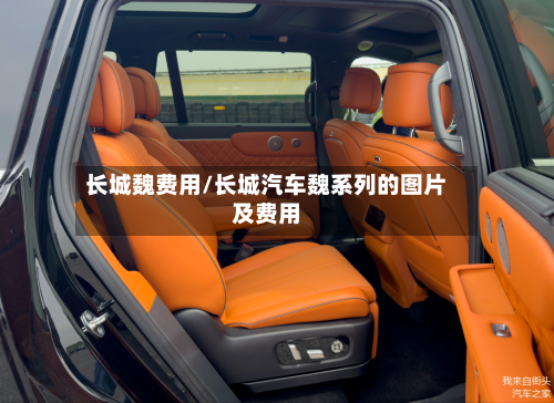 长城魏费用/长城汽车魏系列的图片及费用-第3张图片