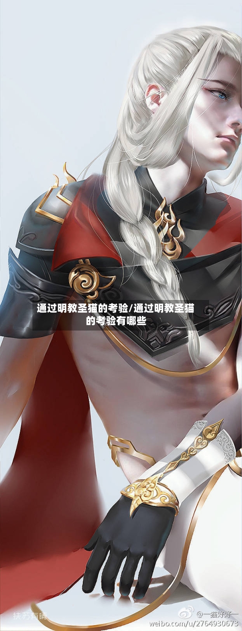 通过明教圣猫的考验/通过明教圣猫的考验有哪些-第1张图片