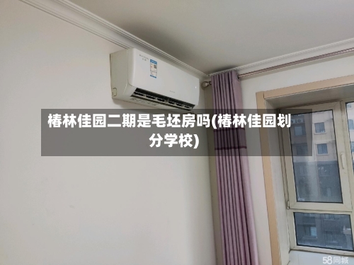 椿林佳园二期是毛坯房吗(椿林佳园划分学校)-第3张图片
