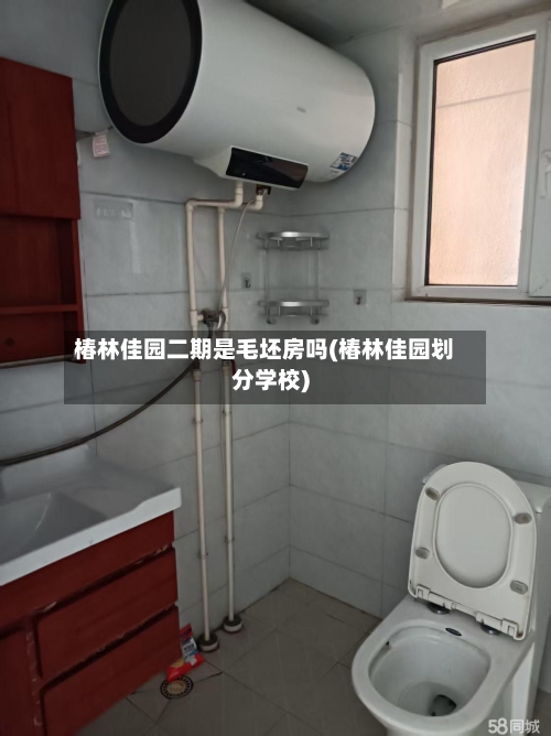 椿林佳园二期是毛坯房吗(椿林佳园划分学校)