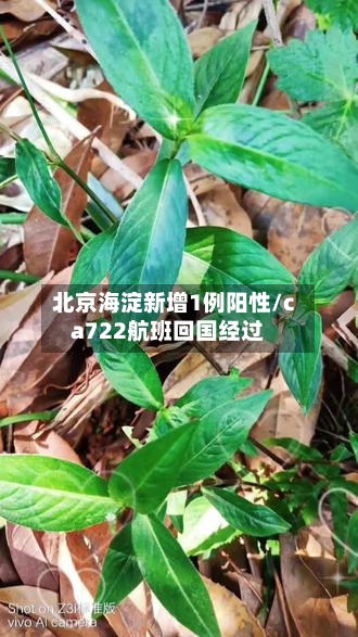 北京海淀新增1例阳性/ca722航班回国经过-第3张图片