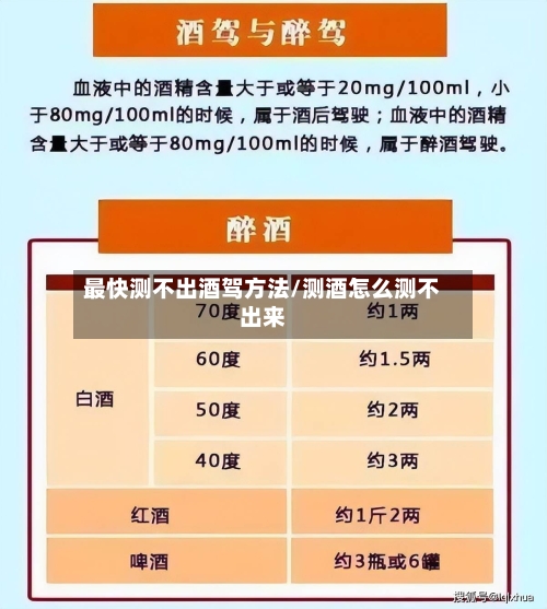 最快测不出酒驾方法/测酒怎么测不出来-第3张图片