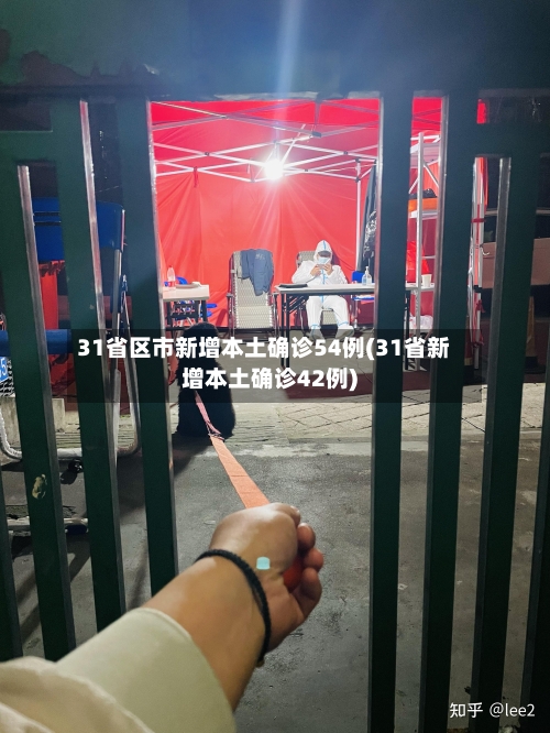 31省区市新增本土确诊54例(31省新增本土确诊42例)