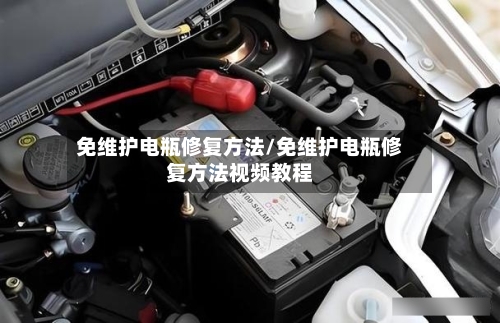 免维护电瓶修复方法/免维护电瓶修复方法视频教程-第2张图片